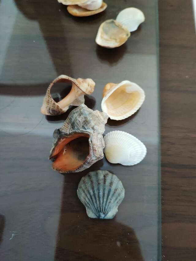 Гостевой дом Аргус Витязево-57